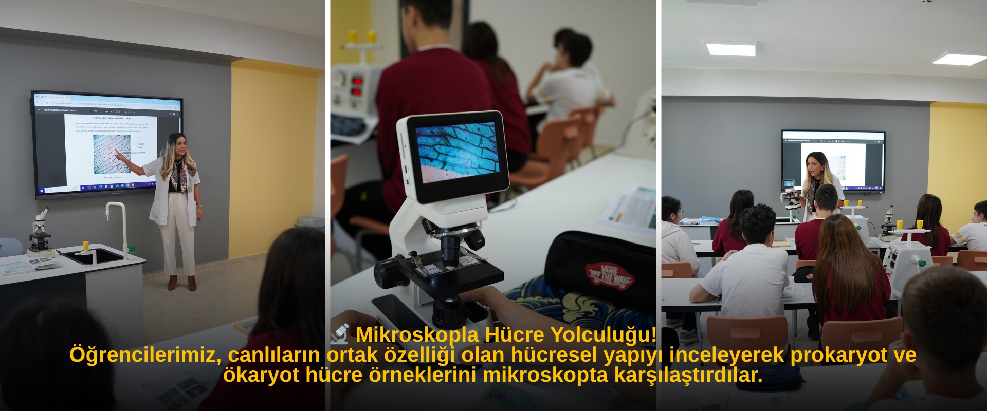 Mikroskopla Hücre Yolculuğu!